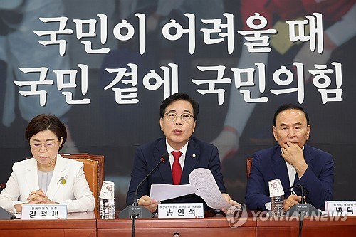 송언석 비상대책위원장 발언 