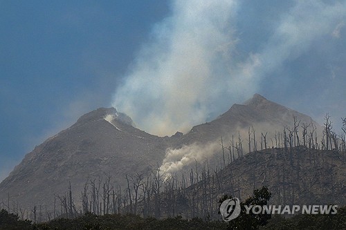 작년 9명 사망 당시 르워토비 라키라키 화산 분화 모습