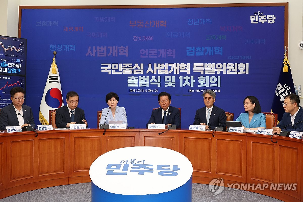 발언하는 백혜련 위원장