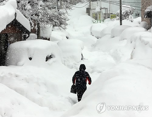 2014년 2월 강릉 폭설