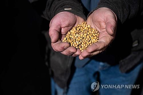 대두