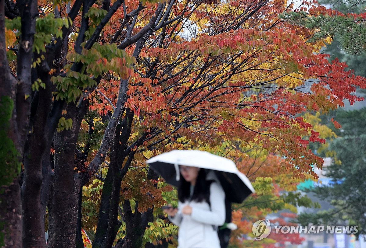 비 내리는 캠퍼스